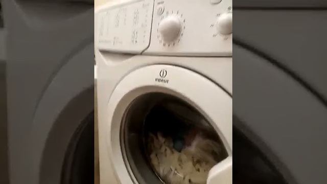 Indesit washing machine (wrong)