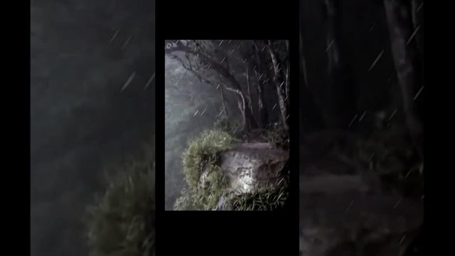 Звук ночного дождя для отдыха и сна