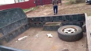 иж ода 2717, карбюратор, пикап.