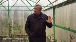 Хурма в Воронеже 15 ноября. Финал первого года эксперимента.