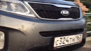 Как отмыть насекомых от бампера?