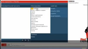 Как работать с бесплатной программой по шитью Redcafe