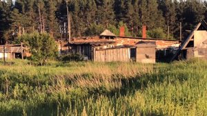 Продаётся Ферма Свердловская область, с.Камышево