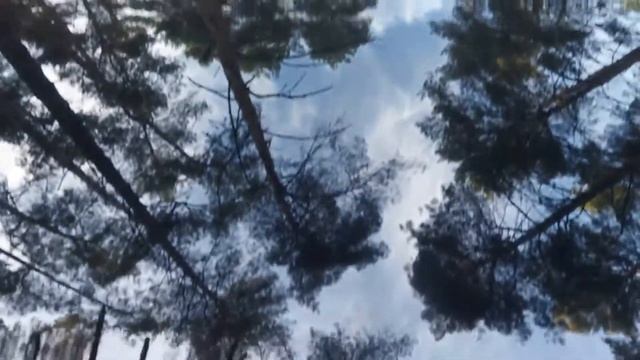 Два авто Эмгранд 8 Эмгранд 7 на свадьбе в городе Сумы смотреть онлайн