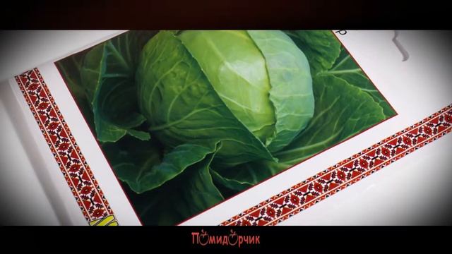 Семена Капуста Амагер профпакет - Помидорчик смотреть онлайн