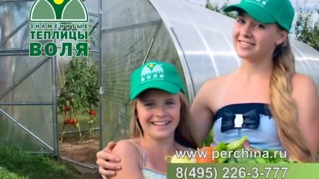 Теплица "Дачная-Стрелка" Воля. смотреть онлайн