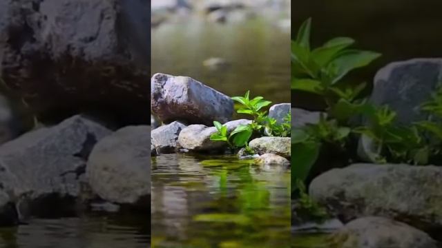 Relaxing MusicRelaxing Music For Stress Relief Deep Sleep MusicSoothing Healing Water Sounds