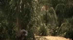 Эра динозавров водопой