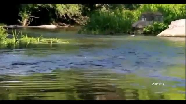 Л. ВЕЛИКАНОВА    Деревня спит в предутренней заре смотреть онлайн