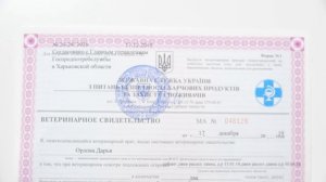 КАК ПЕРЕВОЗИТЬ СОБАКУ В ПОЕЗДЕ?? | Документы, справки, билеты и дорожный набор для собаки