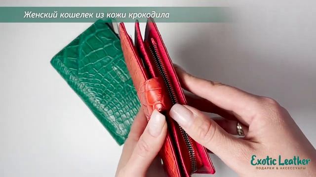 Женский кошелек из кожи крокодила смотреть онлайн
