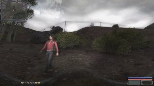 сталкер альтернатива 1.3.2 спасти зою