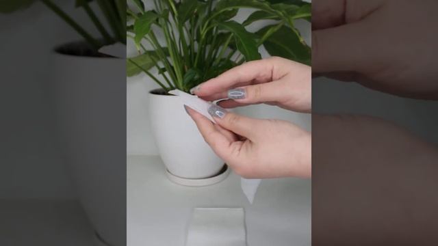 Диспенсерные салфетки 21*18, 1слой, 1200 шт в упаковке смотреть онлайн