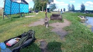 Рыбхоз Гжелка !