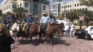 Cattle Drive Down Clematis St. in West Palm Beach, Florida. 12/13/2011