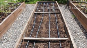 Капельный полив на садовом участке