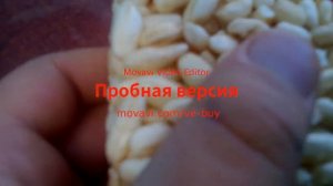 обзор воздушного риса
