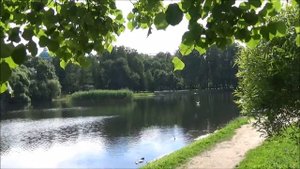 Санкт- Петербург. "Таврический сад" Прогулки по Петербургу (2016)