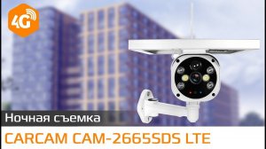 CARCAM CAM 2665SDS LTE Пример дневной съемки