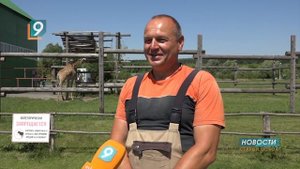 "Жираф большой – ему видней!"