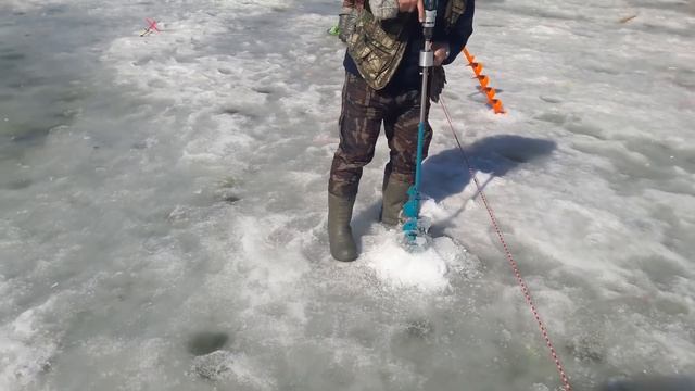 Лагуна. Ледовая Обстановка 12 апреля. смотреть онлайн