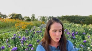 Growing Lisianthus | PepperHarrow Farm