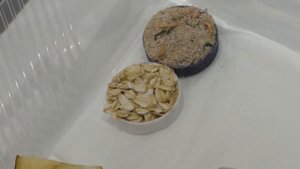 Разведение мадагаскарских тараканов