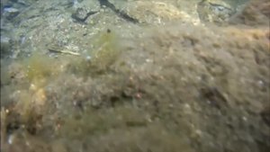 Отдых на озере Бараус.   Ночёвка в палатках