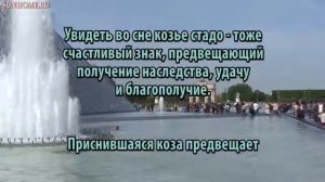 К чему снится Козье стадо сонник, толкование сна