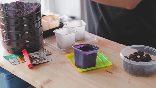 Как устроена подсветка рассады. Личный опыт. Начало сравнения фитолампы с обычной смотреть онлайн