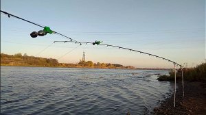 Поклёвки, Загибы, Отстрелы .Ловлю Лещей на реке.