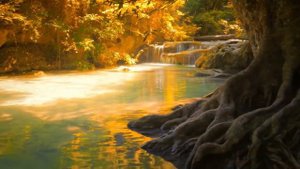 Дети   не нужно делать их слабыми  Александр Феклистов