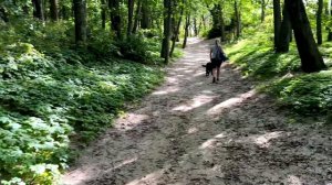 Донское, Калининградская область.