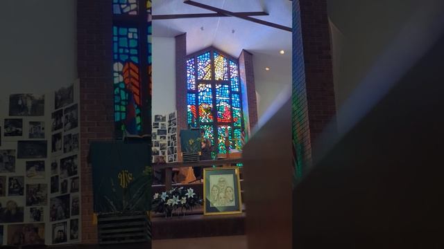 Rosa Jane's celebration of life смотреть онлайн