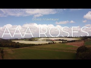 GFG | AAA Roses | Кения 2021 | Кенийские розы