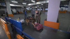 Телеканал Москва 24, программа Рейд, 25.01.2021 г.