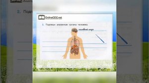 Урок родиноведения для 3 классов. Тема: Организм человека. Учитель нач.классов Абдувалиева Саида