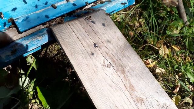 Закончил качку на стационаре смотреть онлайн