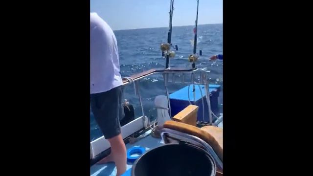 Морская рыбалка - Таиланд, Пхукет, декабрь 2019