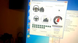 thrustmaster ferrari f430 ffb driver settings