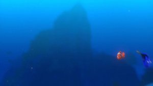 Дори ты просто чудо?В поисках Немо?Мультфильмы для детей?