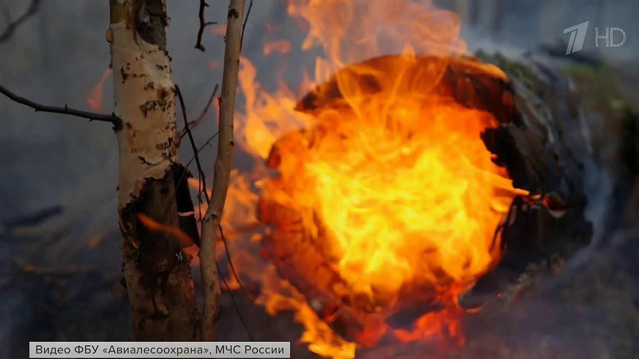 Режим ЧС из-за природных пожаров введен сразу в нескольких городах Свердловской области