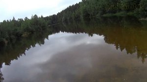 Коп на диком пляже в Московской Области