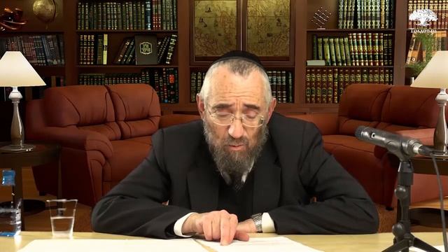 Балак 2, книга Бемидбар. Недельные главы Торы 255, рав Моше Пантелят