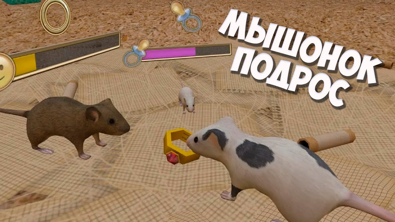 Видео игры мышки