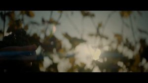 Винодельня "Скалистый берег"