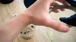 ТИПОД-ЛУЧШИЙ ЗАВАРНИК!