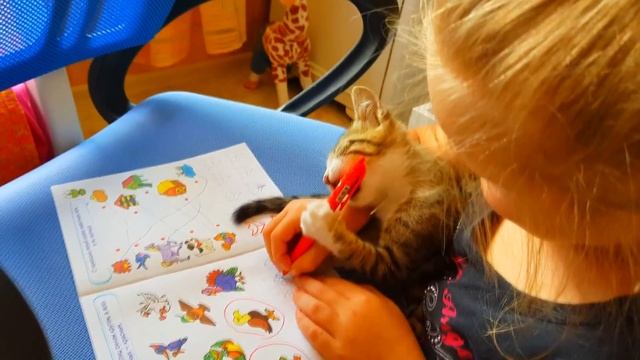 ДЕНЬ ЗНАНИЙ ДЛЯ КОТА из Дневника Котят или КАК МАТИЛЬДА УЧИТ КОТЁНКА смотреть онлайн