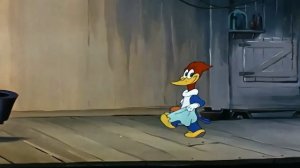 Woody Woodpecker (HD):  Chopin's Musical Moments (Part 1)