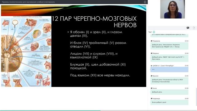 Приемы мнемотехники для заучивания учебного материала